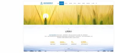 昆明奧遠(yuǎn)科技 專業(yè)網(wǎng)站建設(shè)與新媒體運營服務(wù)商